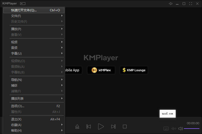 KMPlayer plus解锁版2026最新版截图3