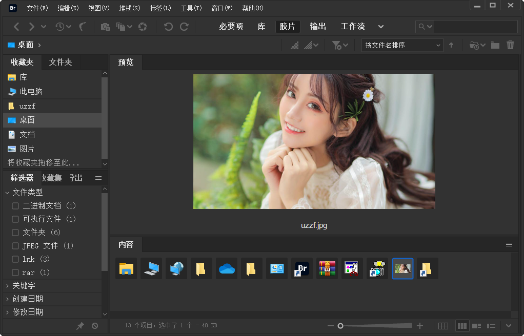Adobe Bridge 2022�����ƽ���ͼ3