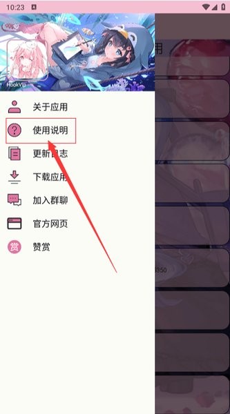 xVIPHookģ���ͼ