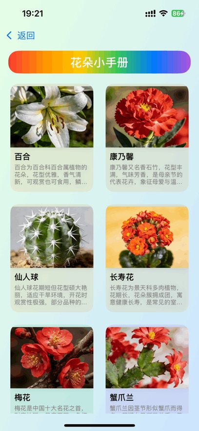 我的花园小院游戏截图