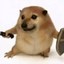 �ҵĵ�������ܛ��1.0 ��׿��