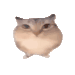 �ͰͲ�һ����ܛ��1.0 ��׿��