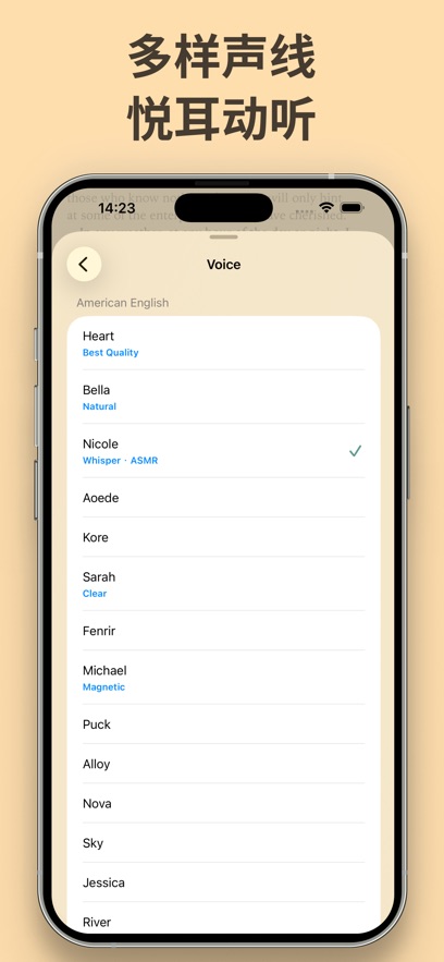 Aurader����ʽ (t��ng)���؈D