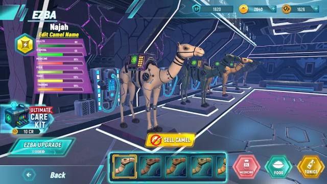 ����������(Camel Rally)