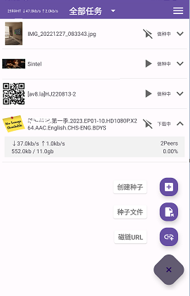 TorrentPlayer官方最新版本 TorrentPlayer官方最新版本