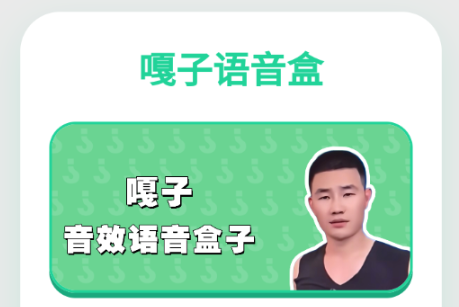 嘎子语音盒 嘎子语音盒