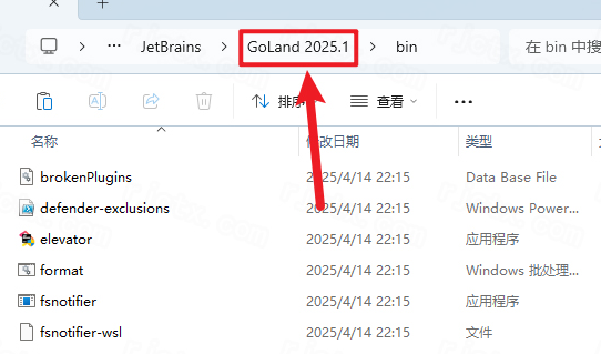 JetBrains GoLand 2025�����ƽ��