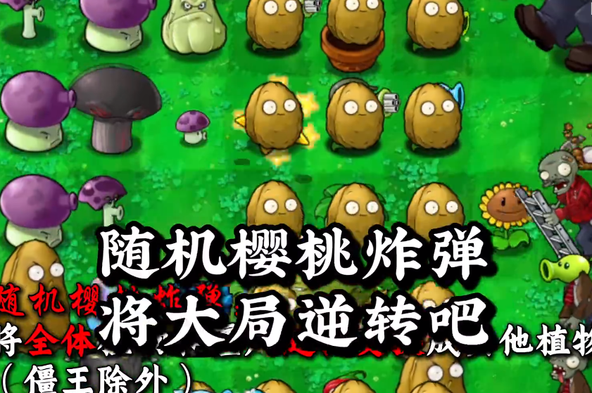 植物大战僵尸吃不了席版 植物大战僵尸吃不了席版