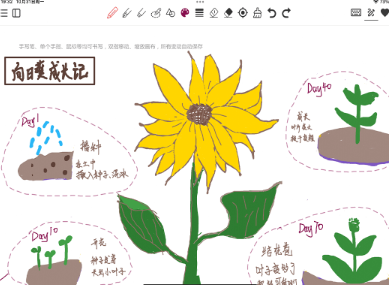 狮子笔记Lionote 狮子笔记Lionote