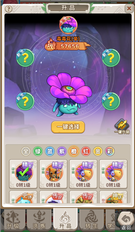 文档图片