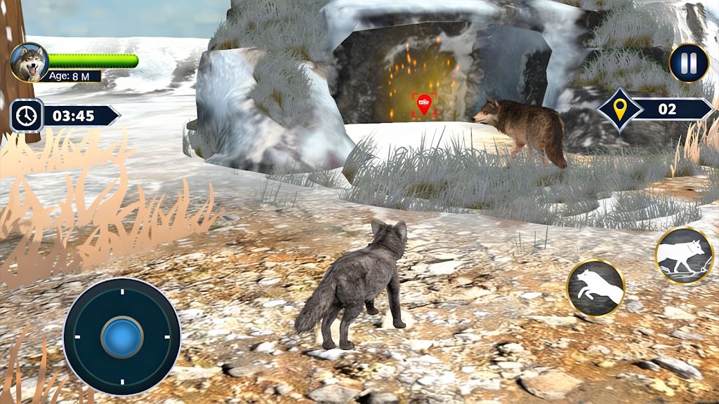 ��ģ�M��3D2026���°�؈D