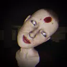 ����ʵ��ֲ���Ϸv1.4 ���°�