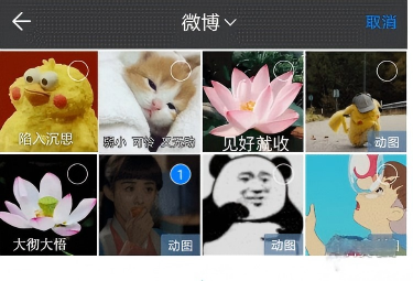 蝙蝠app官网