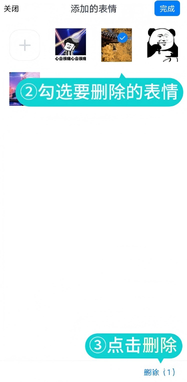 蝙蝠app官网