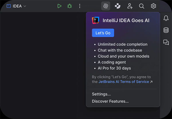 IntelliJ IDEA 2025中文激活版截圖0
