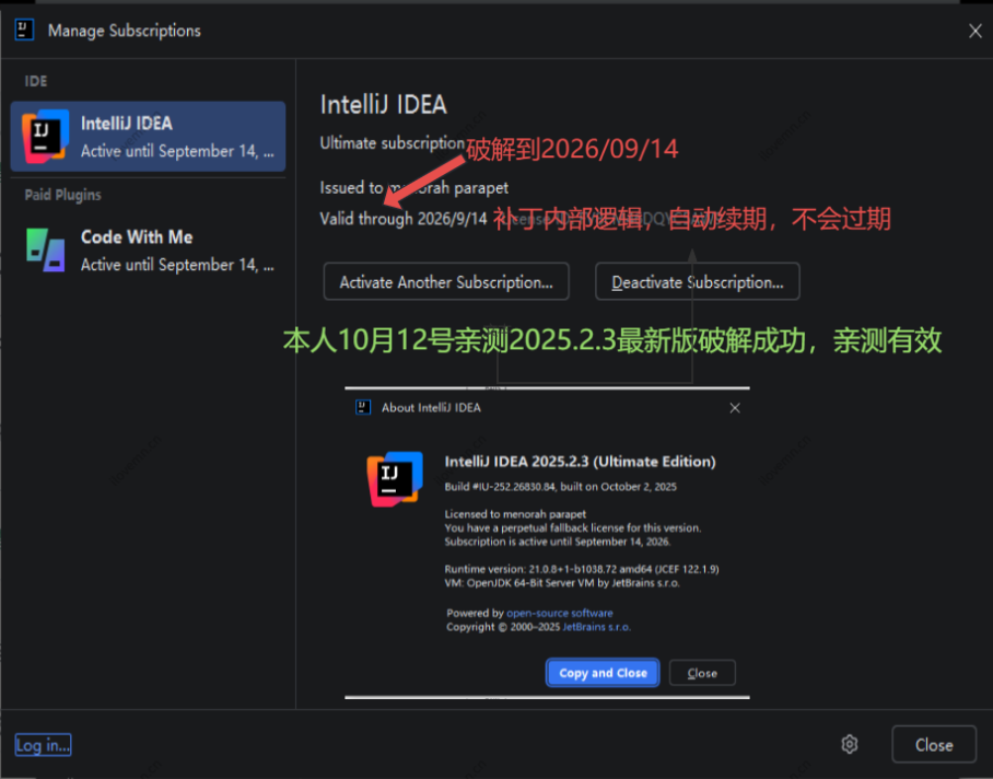 IntelliJ IDEA 2025中文激活版截圖3