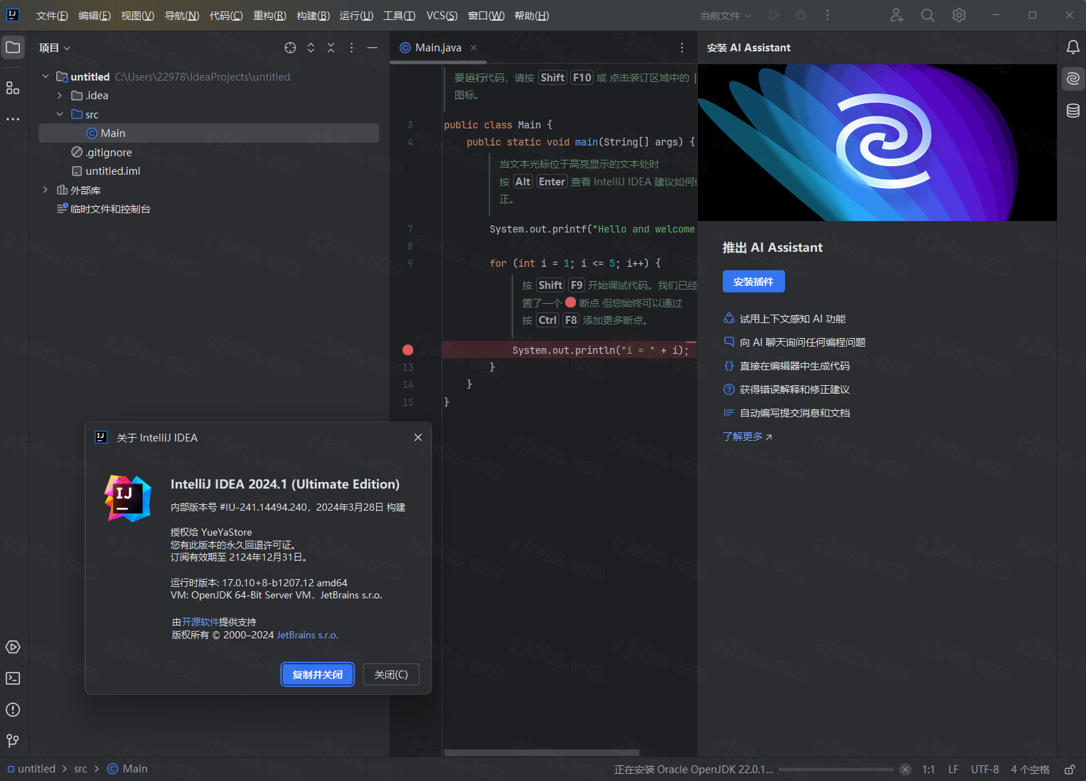 IntelliJ IDEA 2024中文破解版截圖3