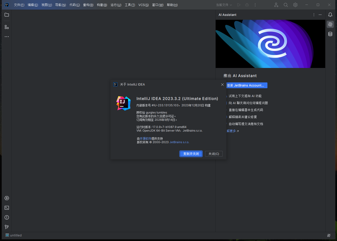 IntelliJ IDEA 2023中文版截圖2