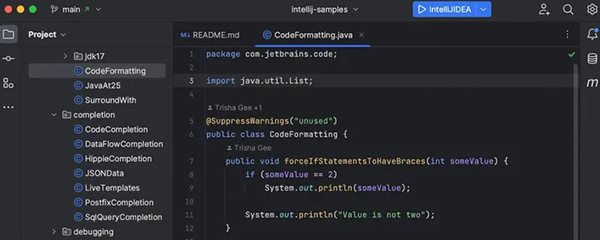IntelliJ IDEA 2022�����ƽ��؈D1
