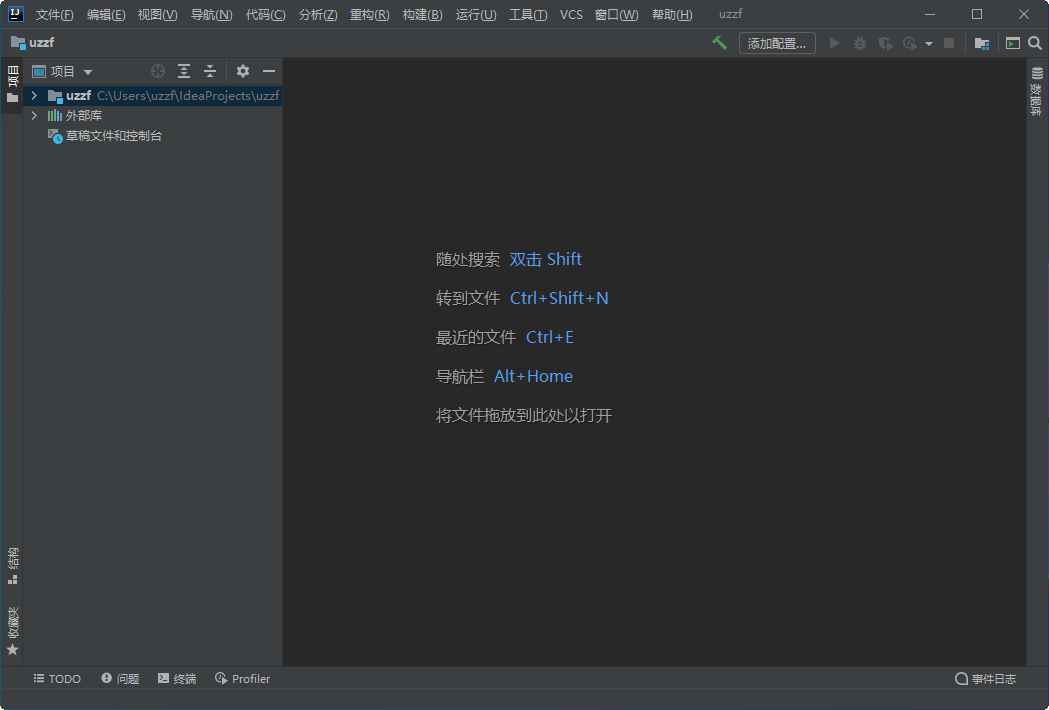 IntelliJ IDEA 2020 旗舰版免费版截图0