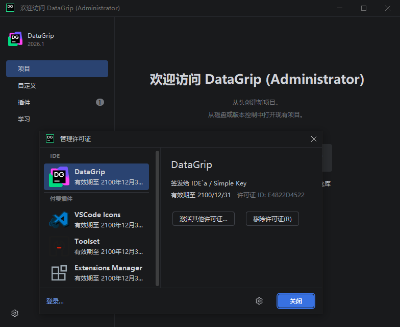 JetBrains DataGrip 2026中文正式版截图1