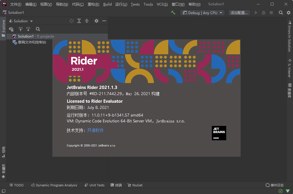 JetBrains Rider 2021中文免费版截图3