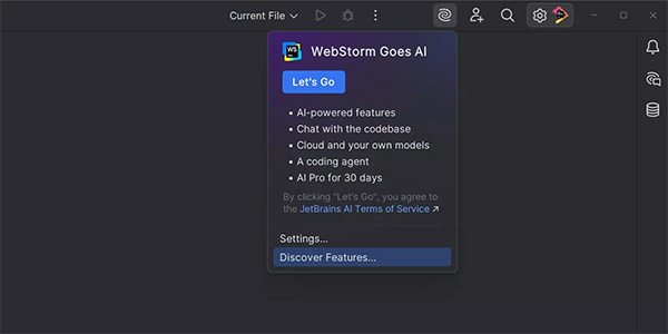 JetBrains WebStorm2025�����ƽ���ͼ3
