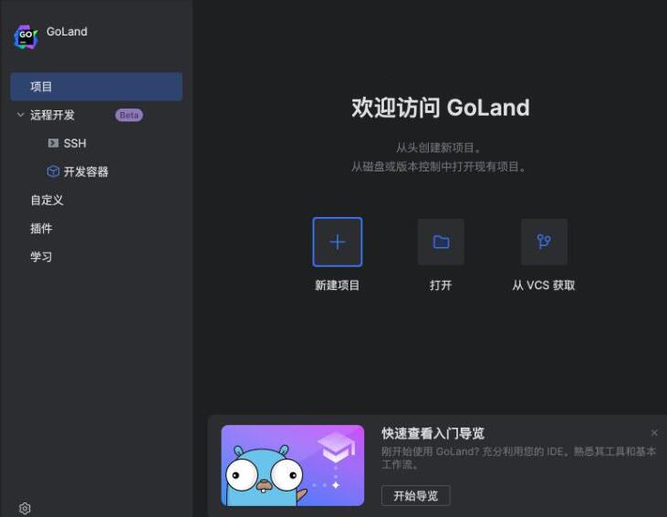 JetBrains GoLand 2026中文绿色版截图1