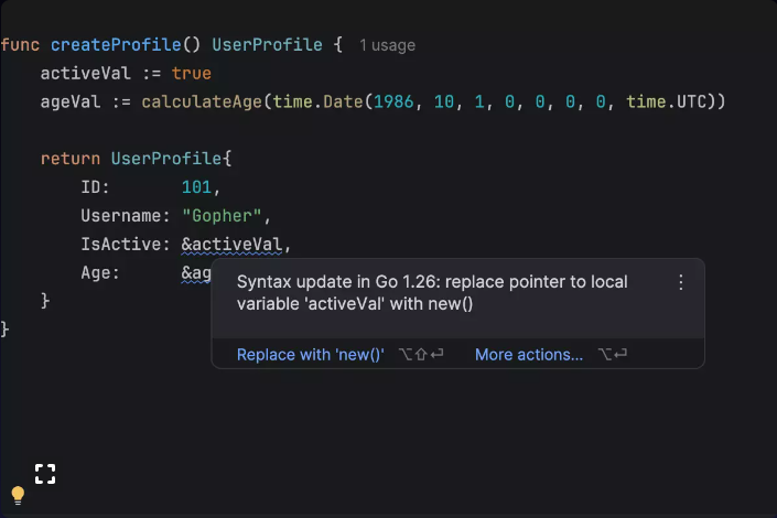JetBrains GoLand 2026中文绿色版截图0