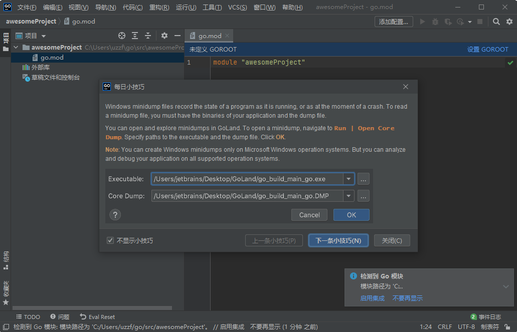 JetBrains GoLand 2021中文最新版截图1
