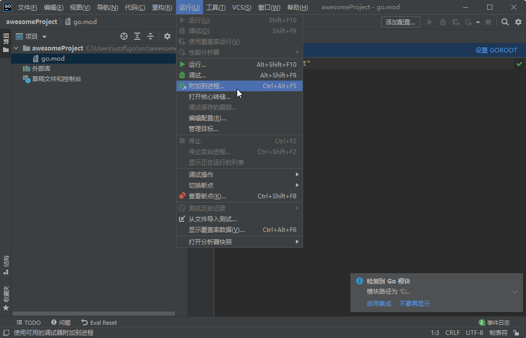 JetBrains GoLand 2021中文最新版截图3