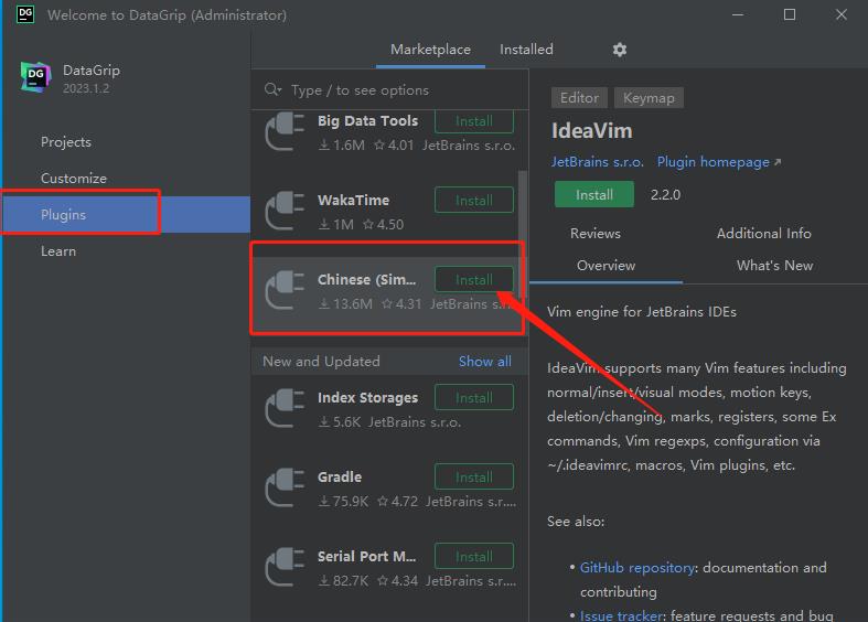 Jetbrains DataGrip 2023中文破解版截图1