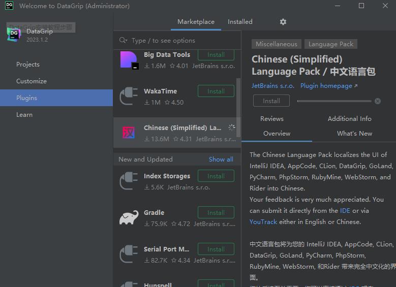 Jetbrains DataGrip 2023中文破解版截图2
