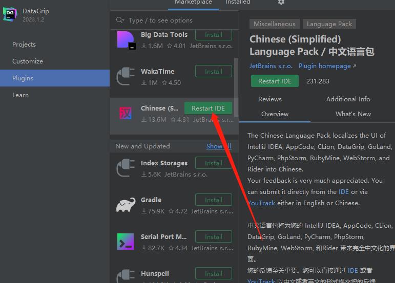 Jetbrains DataGrip 2023中文破解版截图3