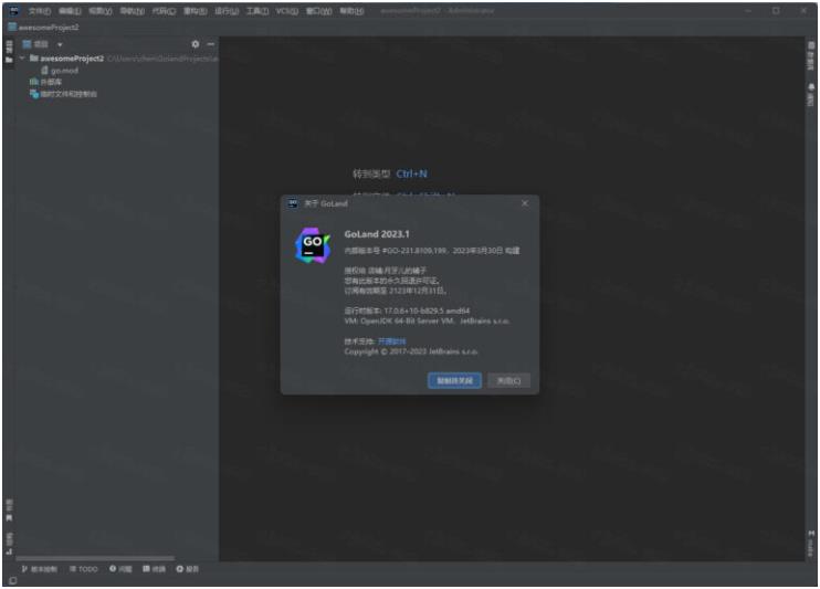 JetBrains GoLand 2023中文最新版截图3