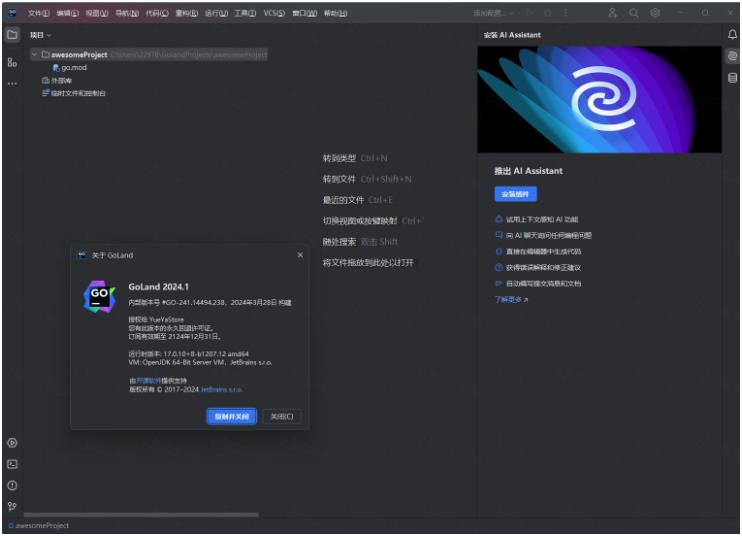 JetBrains GoLand 2024中文解锁版截图1