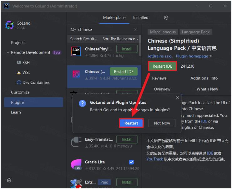 JetBrains GoLand 2024中文解锁版截图2