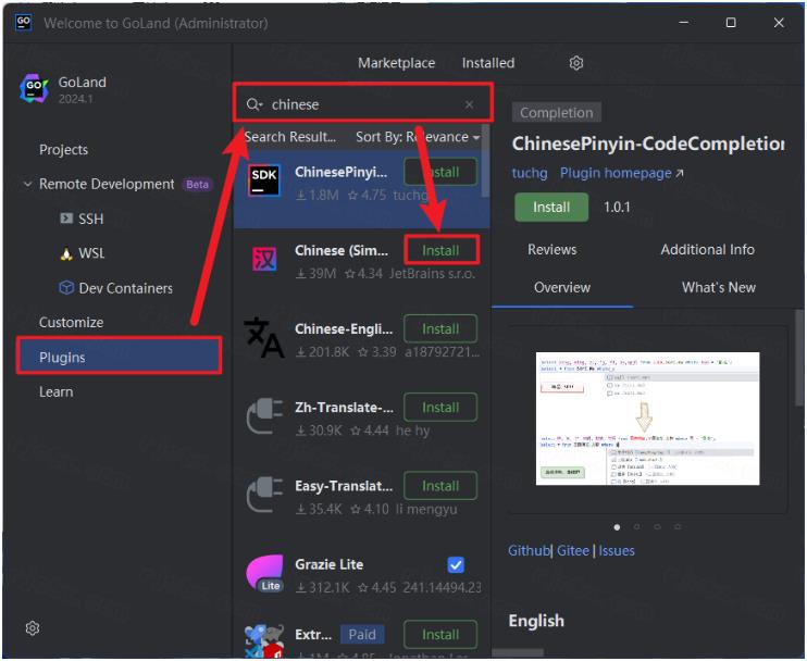 JetBrains GoLand 2024中文解锁版截图3