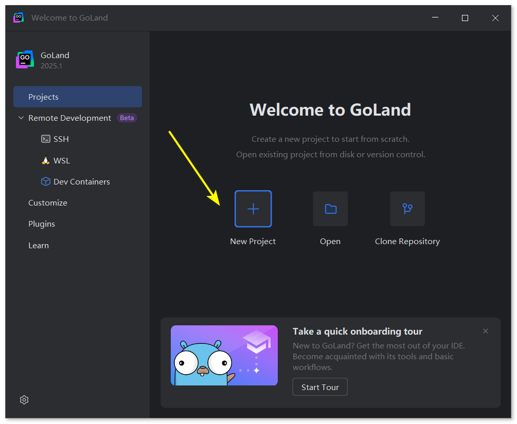 JetBrains GoLand 2025�����ƽ���ͼ1