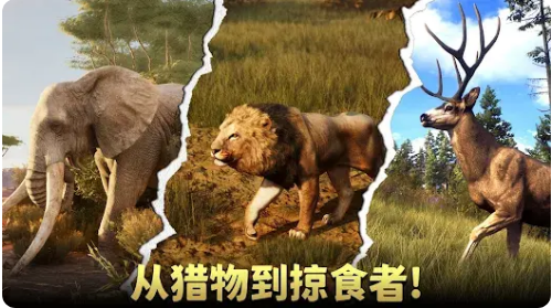 �������˻�Ұ�ѻ������޽�Ұ��ͼ
