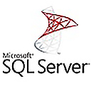SQL Server 2022��ҵ�������