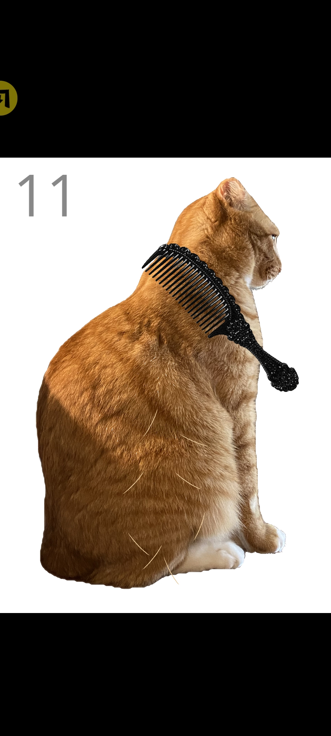 给猫梳毛游戏截图