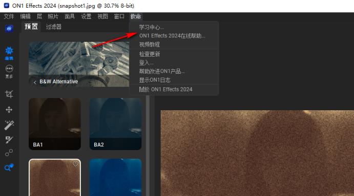 ON1 Effects 2024中文破解版截图3