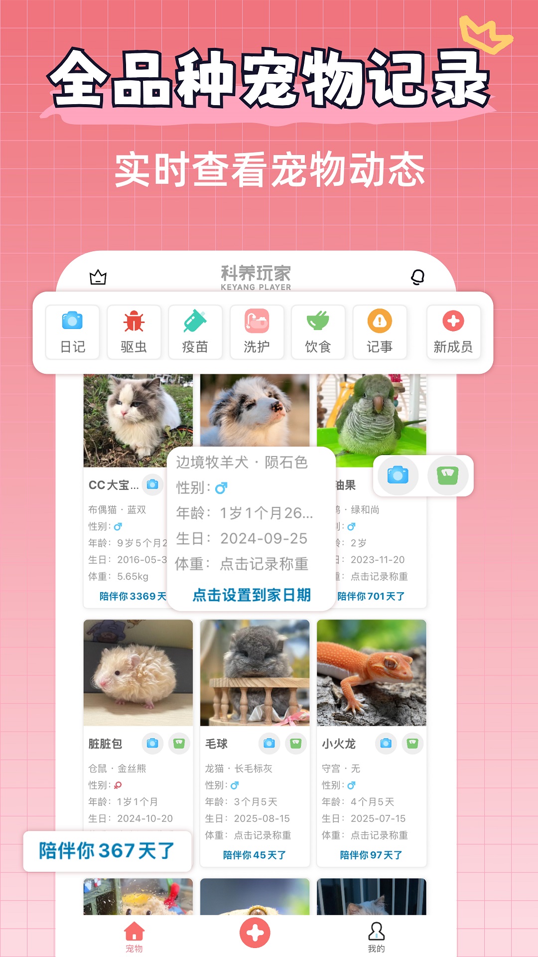 ��������app��ͼ