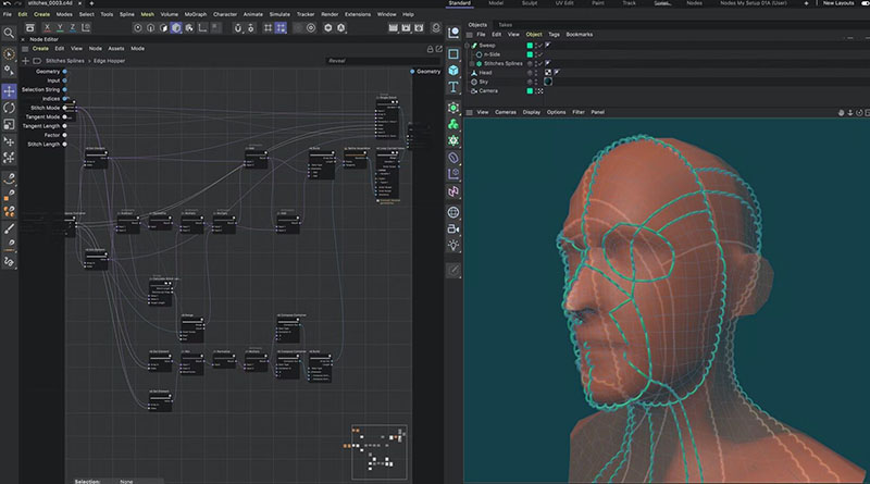 Maxon Cinema 4D 2024���°����İ��ͼ3
