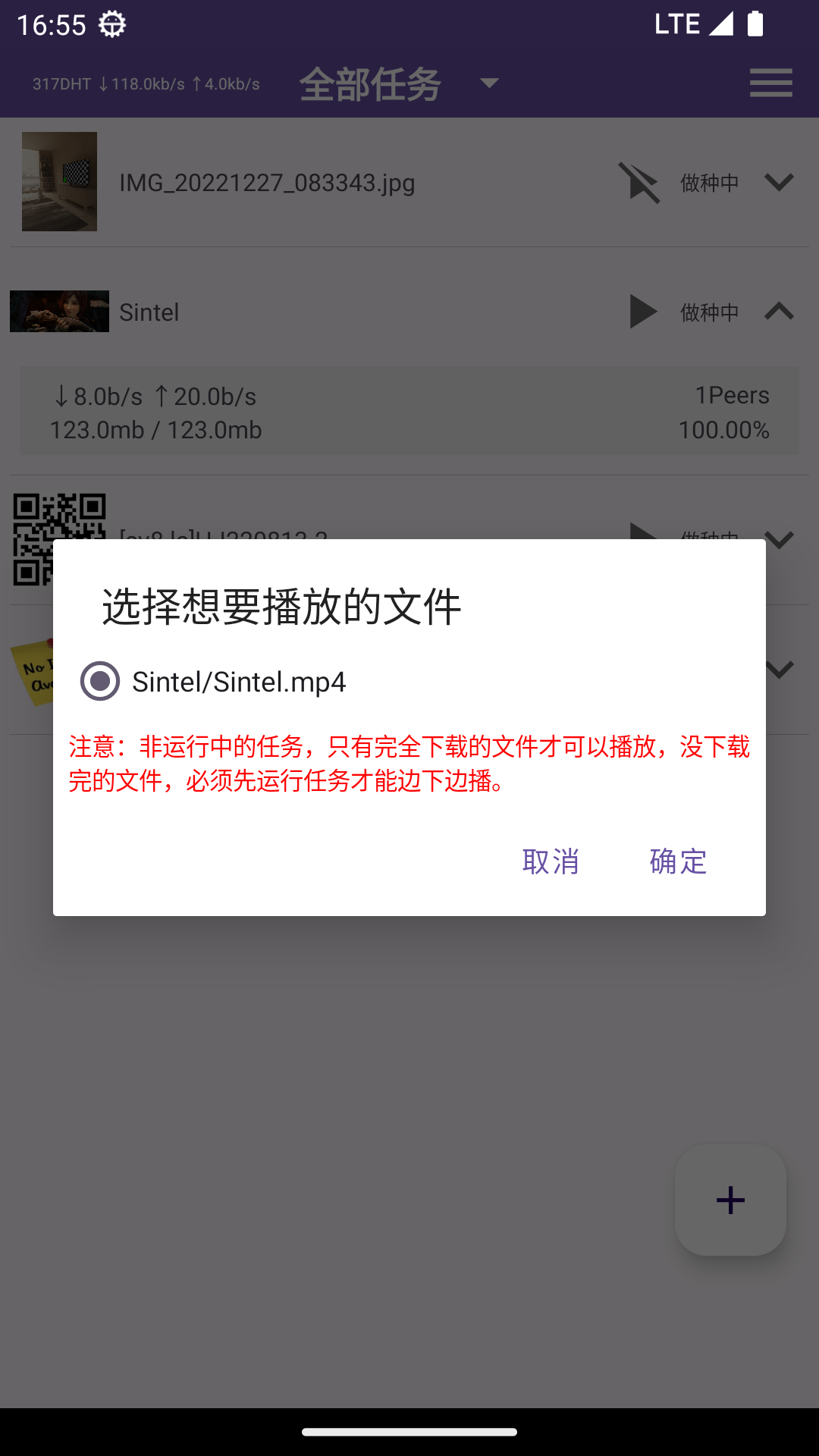 TorrentPlayer官方最新版本截图1