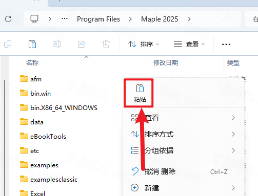 Maple 2025中文全解锁版 Maple 2025中文全解锁版
