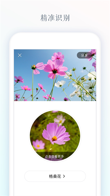 ʶ��app��Ѱ��ͼ