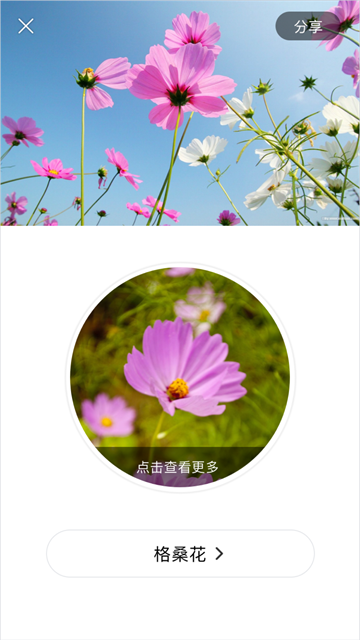 ʶ��app��Ѱ��ͼ