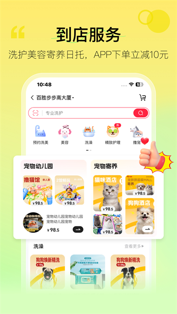 宠胖胖截图